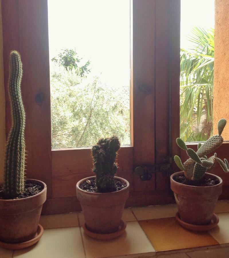 Apartamento La Costa ペレラダ エクステリア 写真